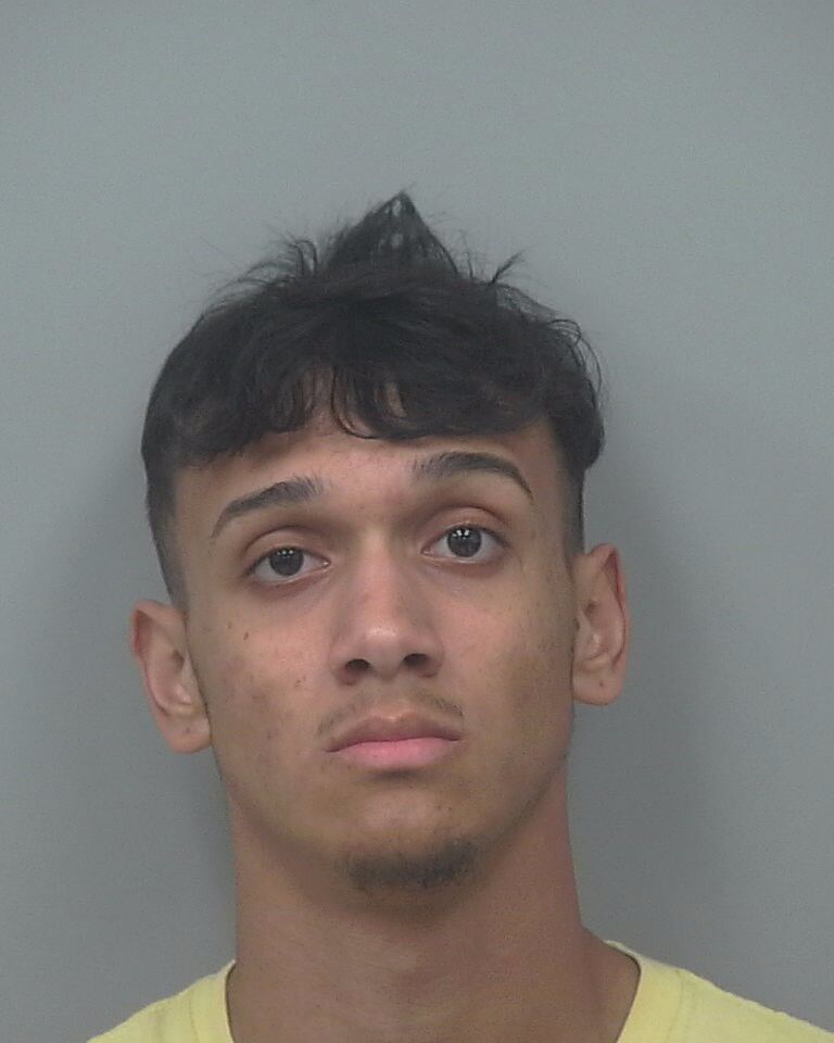 JHOSTIN ALEXANDER BARDALES